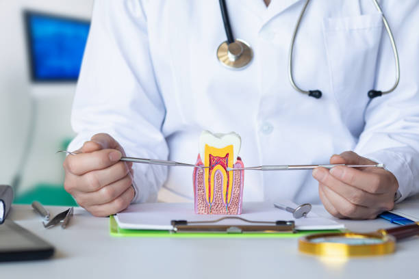 Best Emergency Dental Care for Broken or Chipped Teeth in Mount Vernon, VA